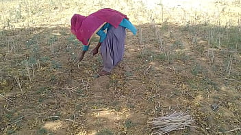 देसी इंडियन ब्वॉयफ्रेंड ने खेत में काम करती हुई उसकी मस्त चोदा