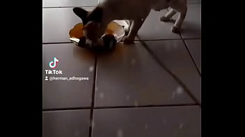 Anita, Si Manis Penggoda Yang Membuatku Tak Kuasa Menolak