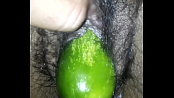 SD ngentot