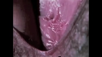 Jav Sub Indo