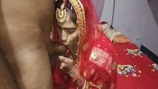Video Panas Istri Menggoda Di Malam Karwa Chauth