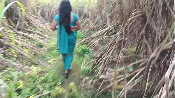Pertanian Tebu Terbuka, Istri Teman Seksi Digenjot Habis-habisan.